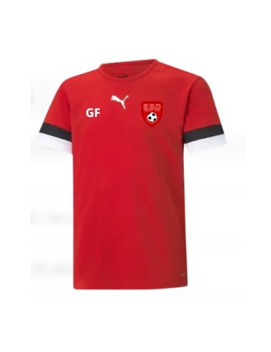 ESD MAILLOT PUMA TEAMRISE