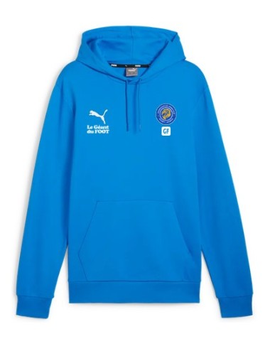 ASSA SWEAT À CAPUCHE PUMA TeamGOAL