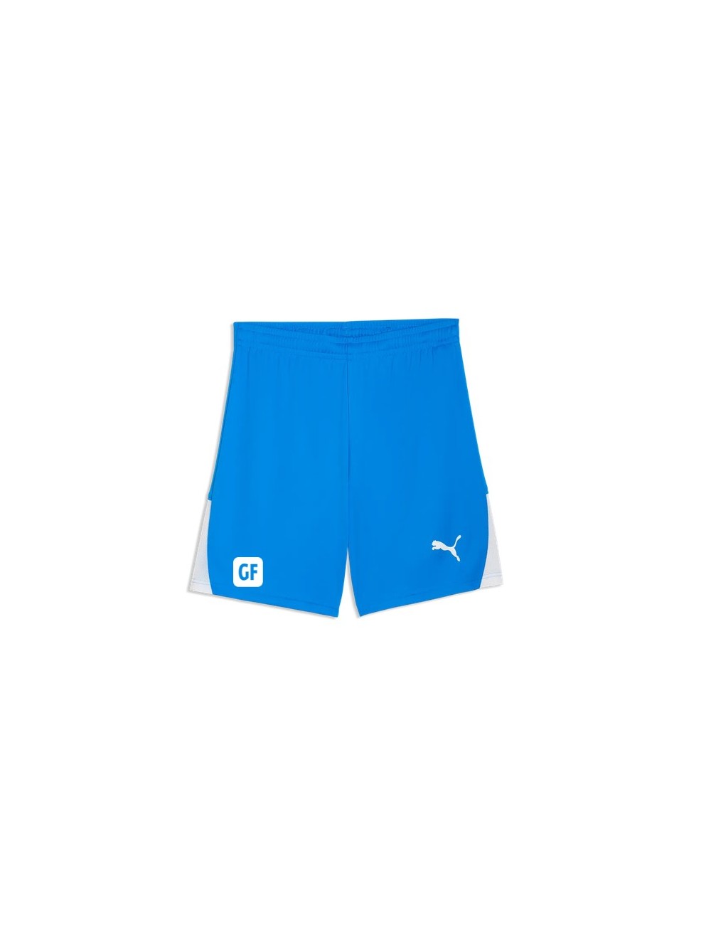 ASSA SHORT PUMA TeamLIGA