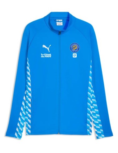 ASSA VESTE PUMA TeamLIGA