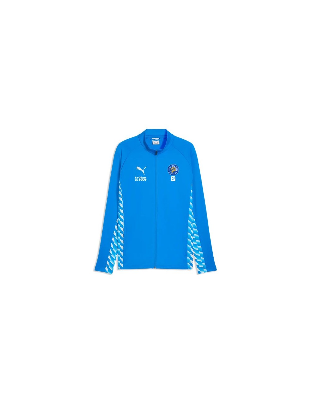 ASSA VESTE PUMA TeamLIGA