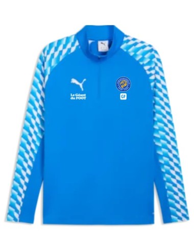 ASSA SWEAT 1/4 ZIP PUMA TeamLIGA