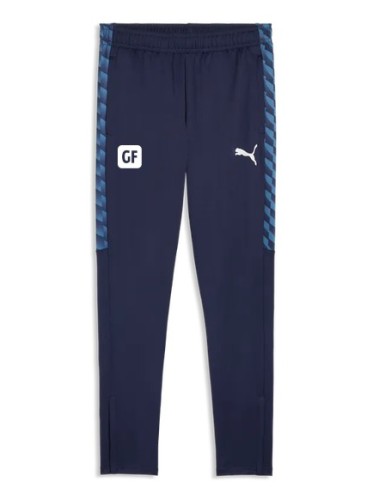 ASSA PANTALON SORTIE PUMA TeamLIGA